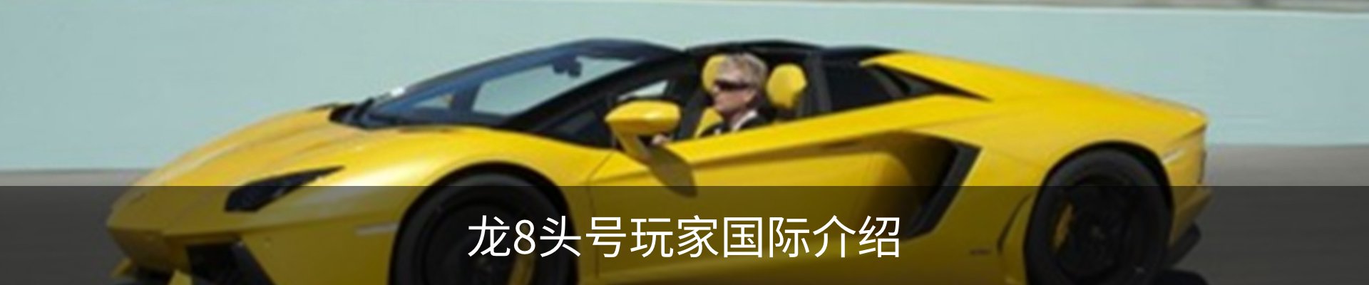 龙8头号玩家国际介绍